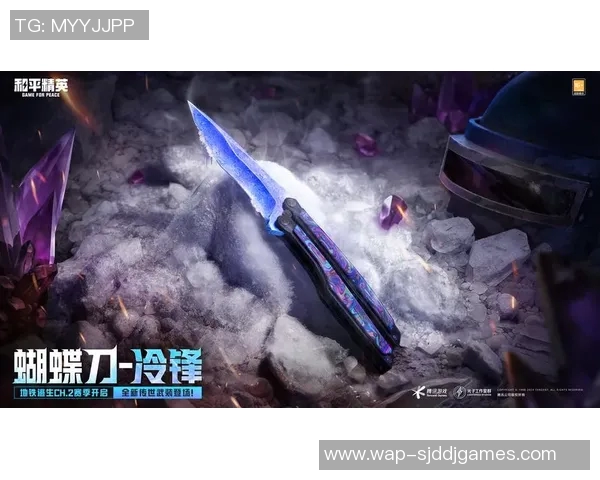 周芳专访回顾和平精英发展历程与未来展望的深度解析实时数据