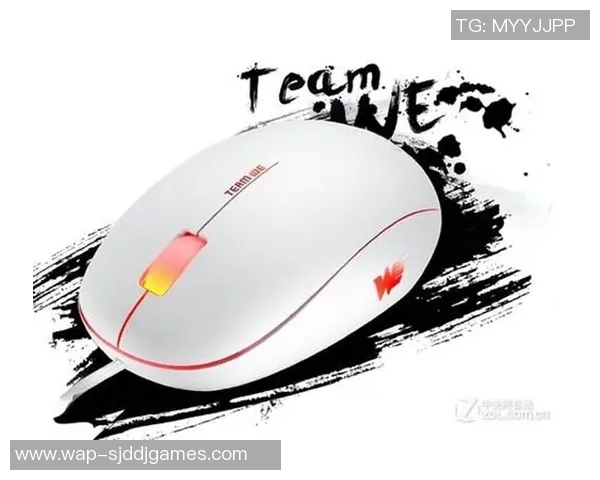 聚焦DOTA2TES个人能力提升与职业发展路径探讨 聚焦DOTA2TES个人能力提升与职业发展路径探讨