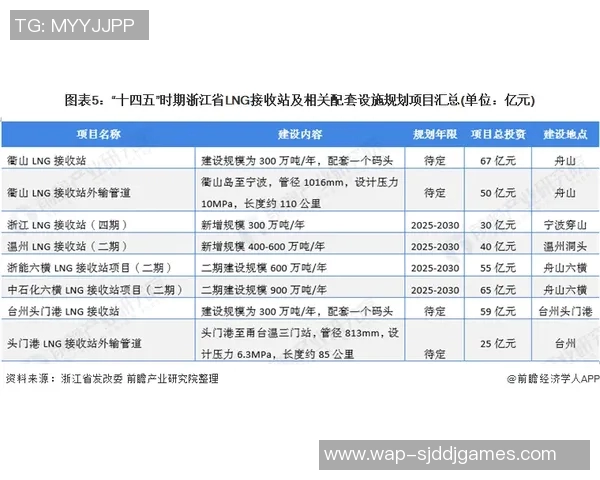 深度分析LNG行业运营策略与市场动态的专业解读 深度分析LNG行业运营策略与市场动态的专业解读